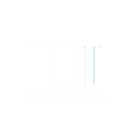 Government